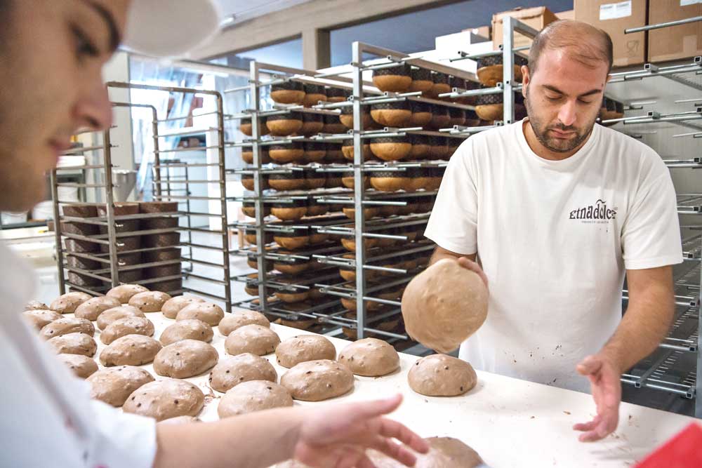 Vista panoramica stabilimento